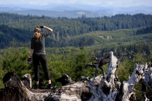 Lakeside, OR to Bandon, OR