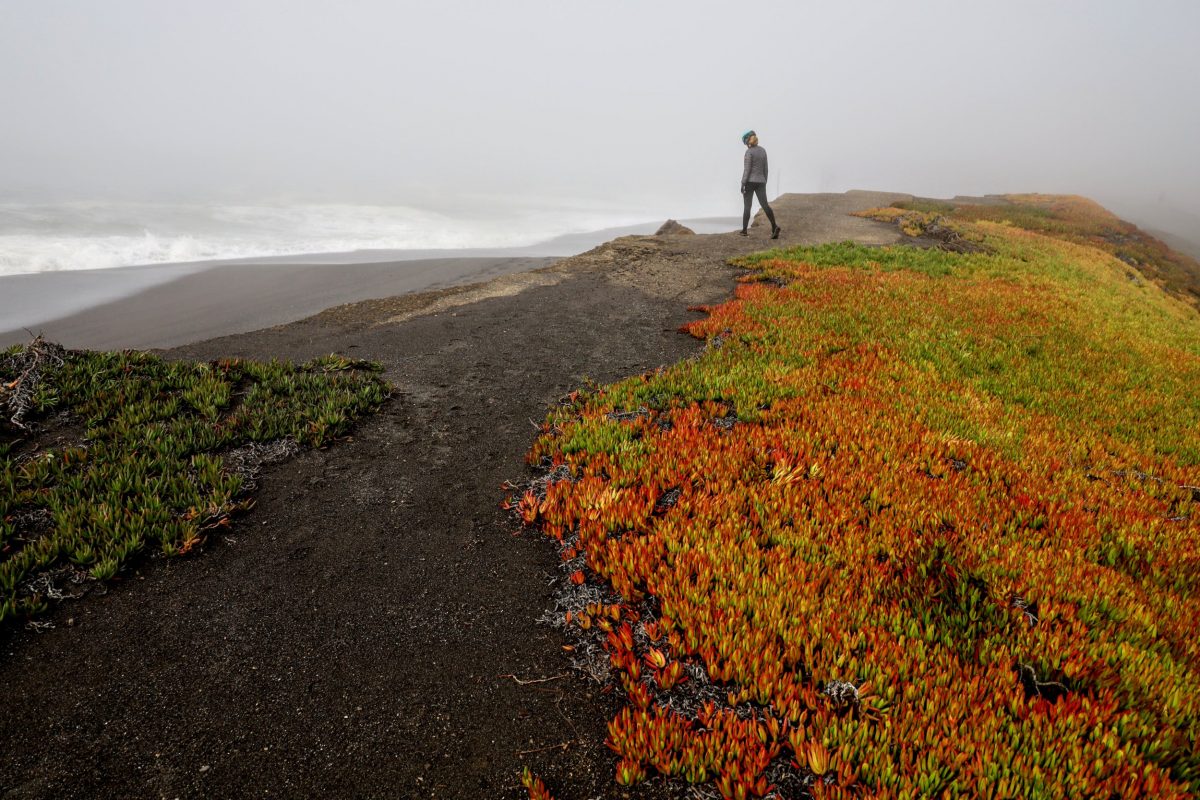 Westport, CA to Fort Bragg, CA