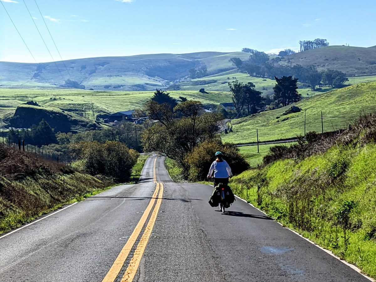 Bodega Bay, CA to Lagunitas, CA