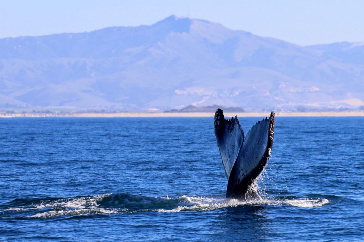 Monterey, CA