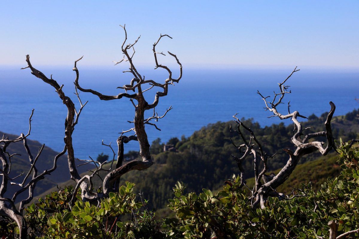 Big Sur, CA