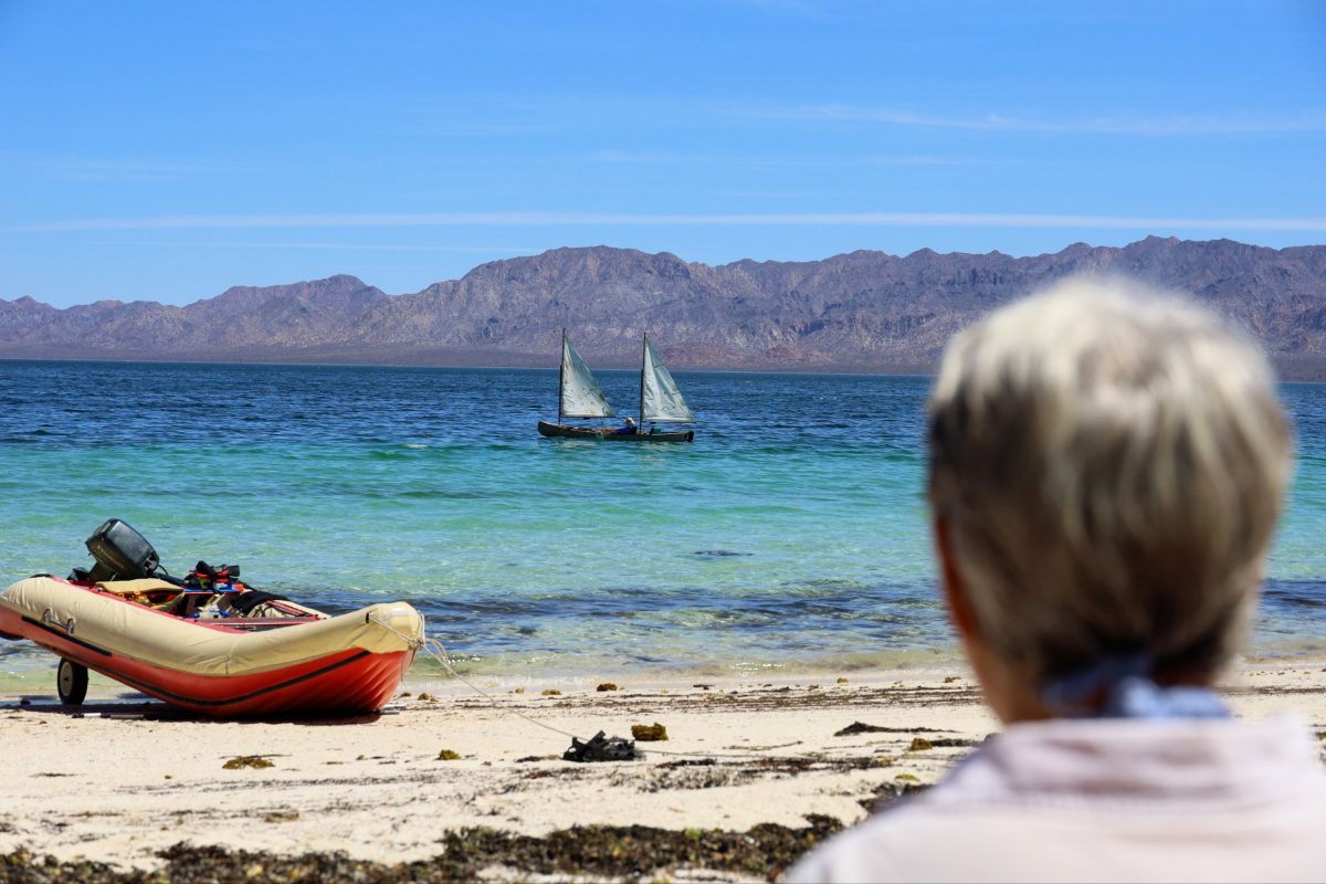 Playa Estucasa, BCS