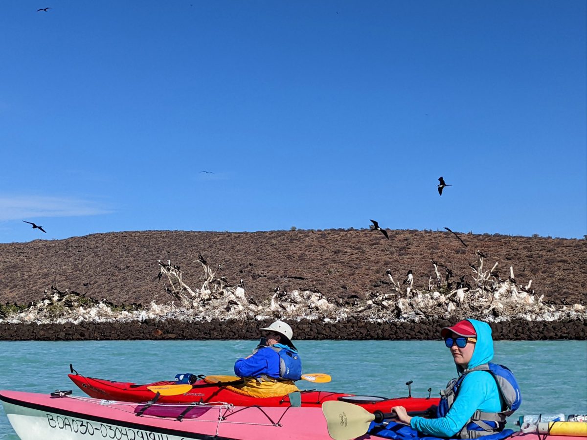 La Paz, BCS to Playa Corralitos, Isla Espiritu Santo, BCS