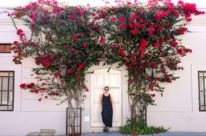 Todos Santos, BCS