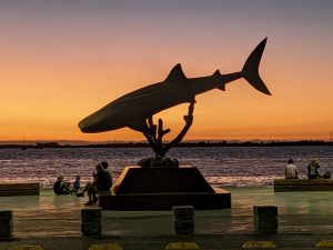 La Paz, BCS