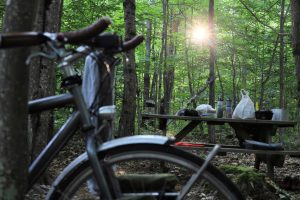 Booneville, NY to Inlet, NY