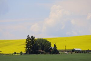 Winchester, ID to Kamiah, ID