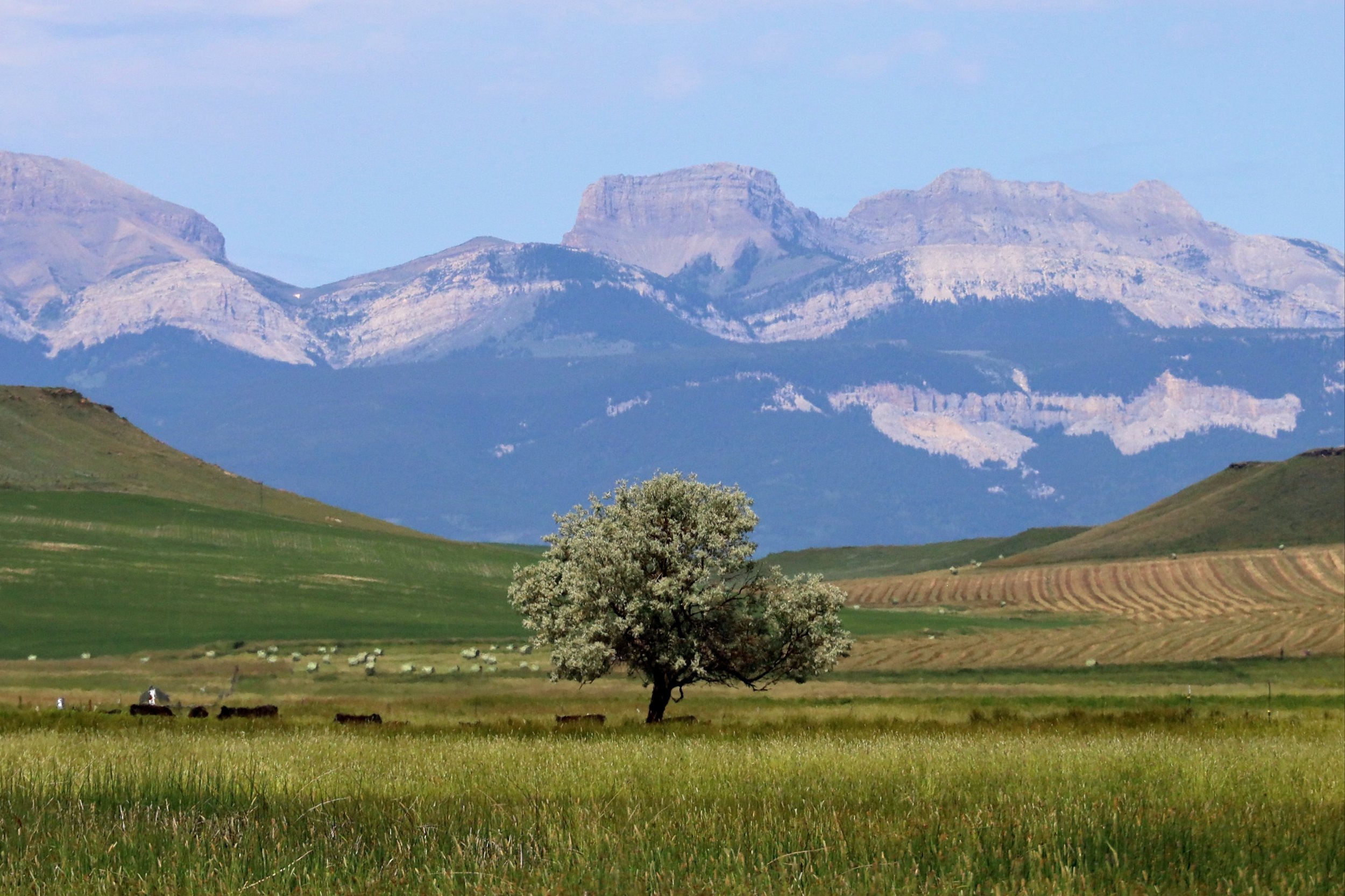 Choteau, MT to Dupuyer, MT