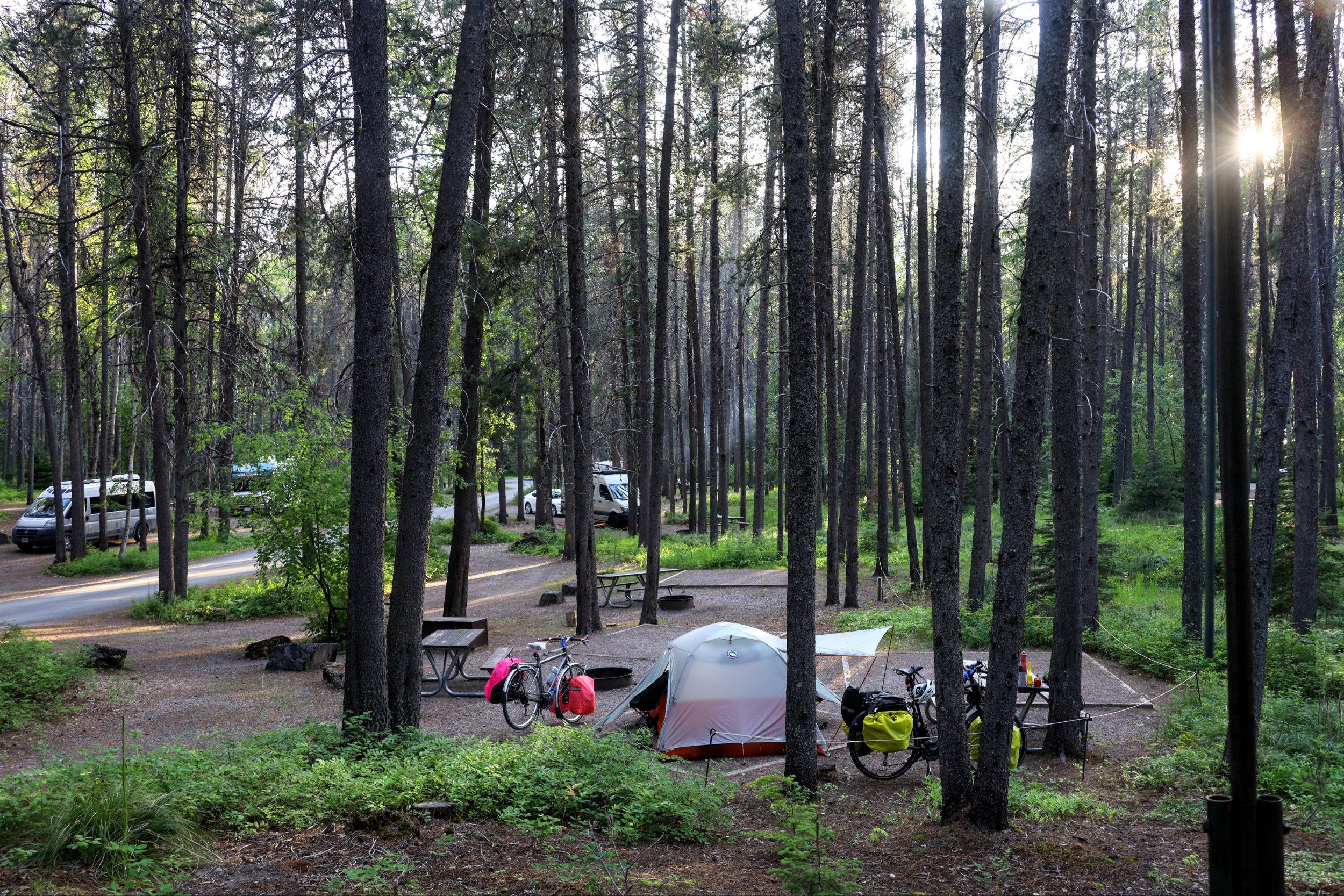 Glacier National Park (Sprague Creek), MT to Glacier National Park (Apgar), MT