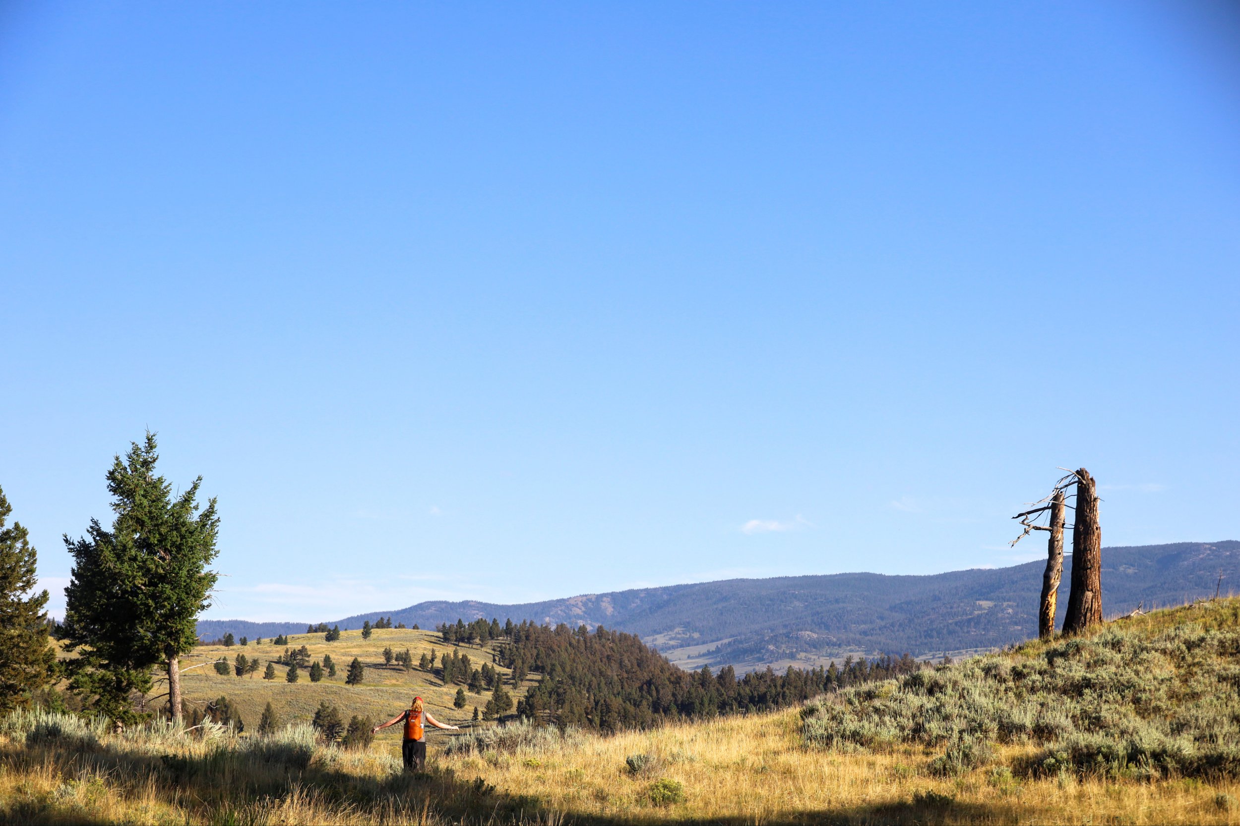 Yellowstone National Park (Roosevelt), WY