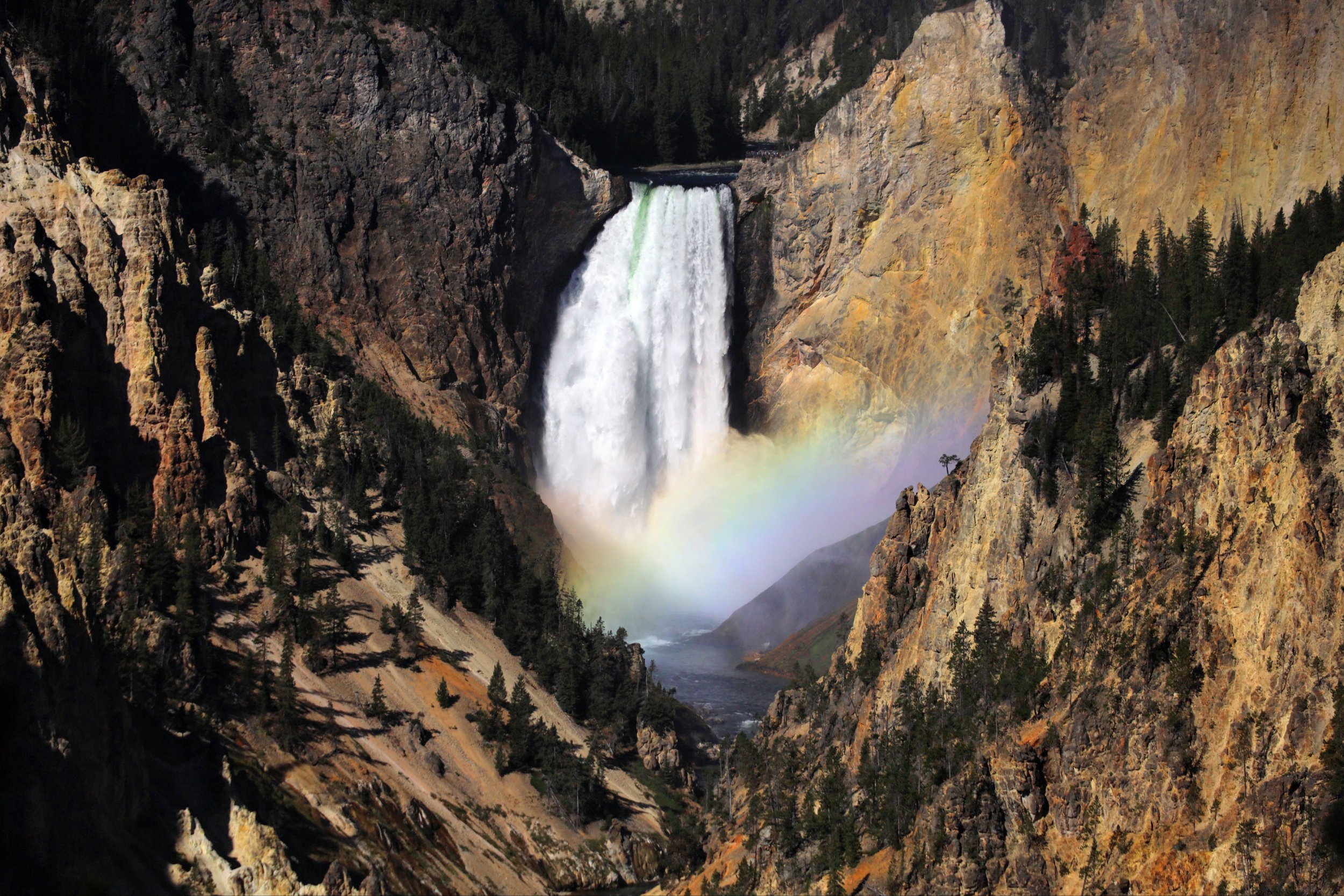 Yellowstone National Park (Canyon), WY