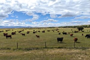 Rawlins, WY to Riverside, WY