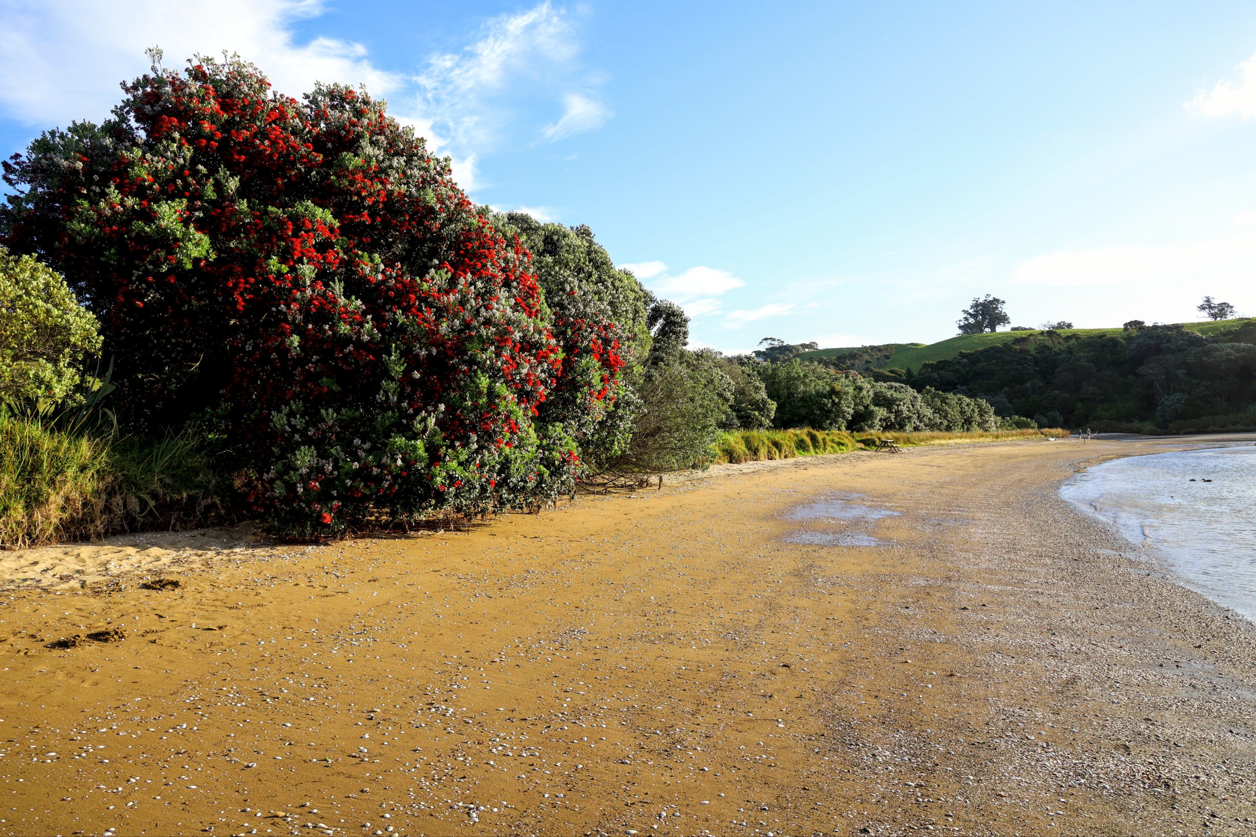 Waiheke Island, NZ