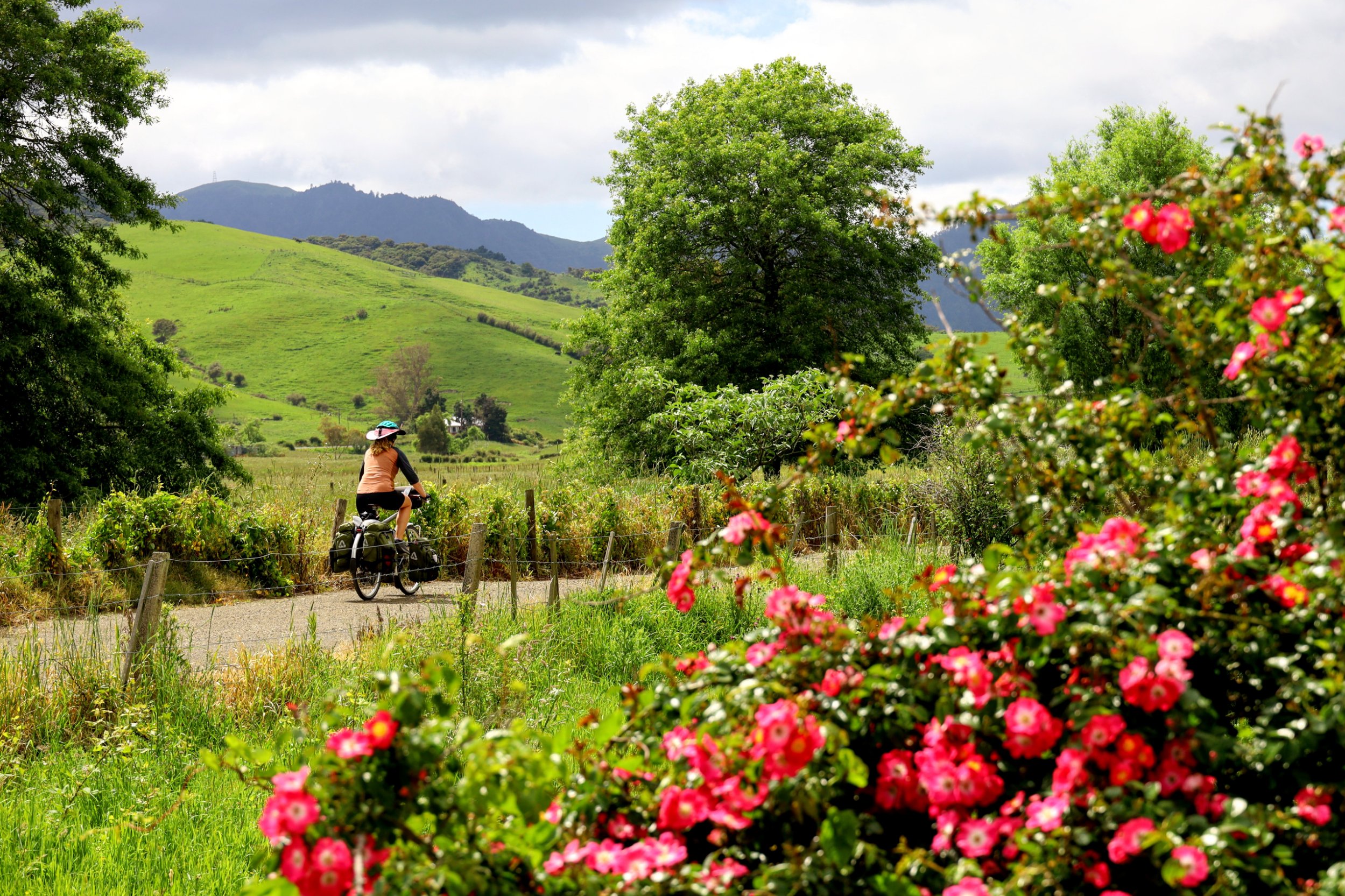 Thames, NZ to Karangahake, NZ