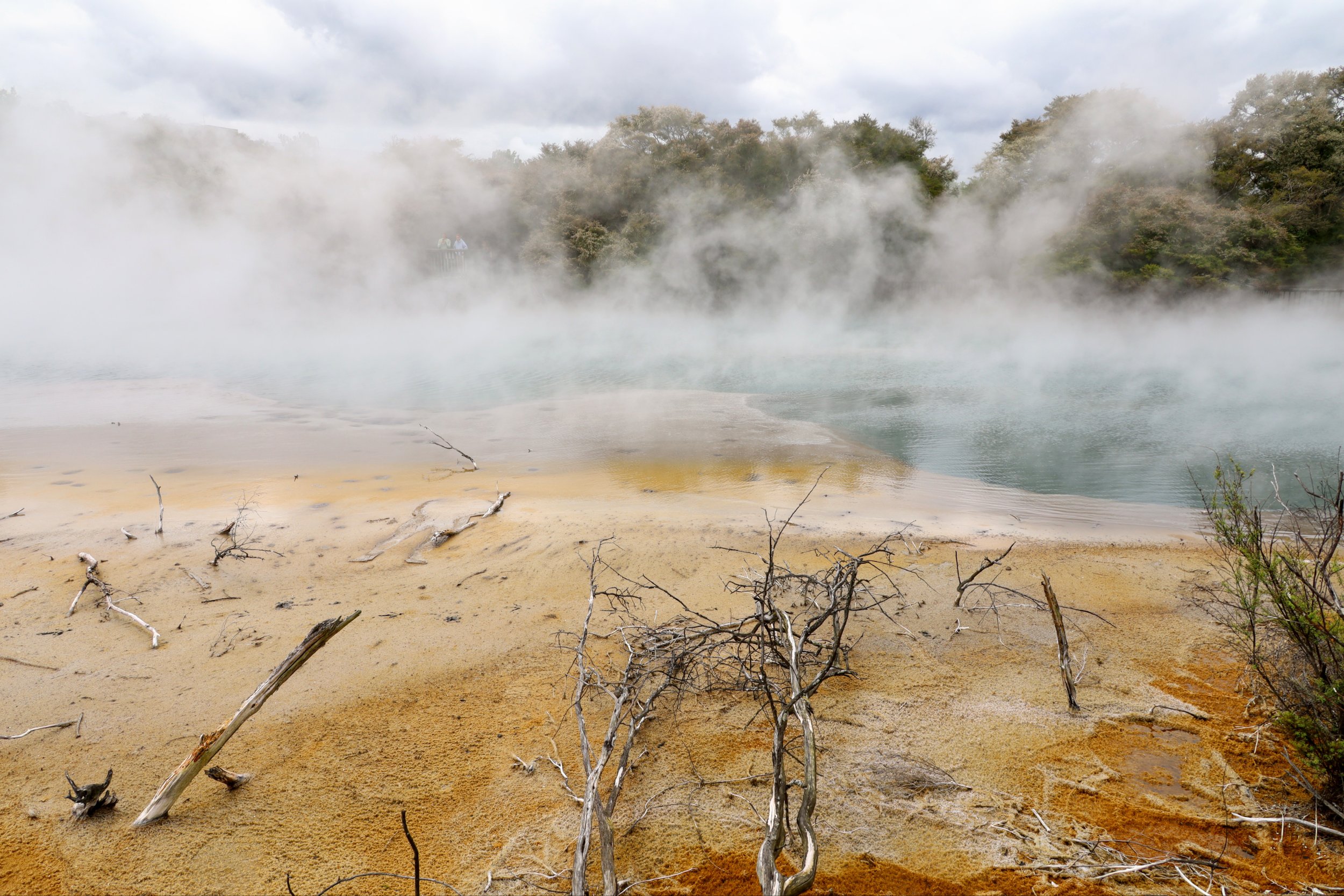 Rotorua, NZ to Rotorua (Springfield), NZ