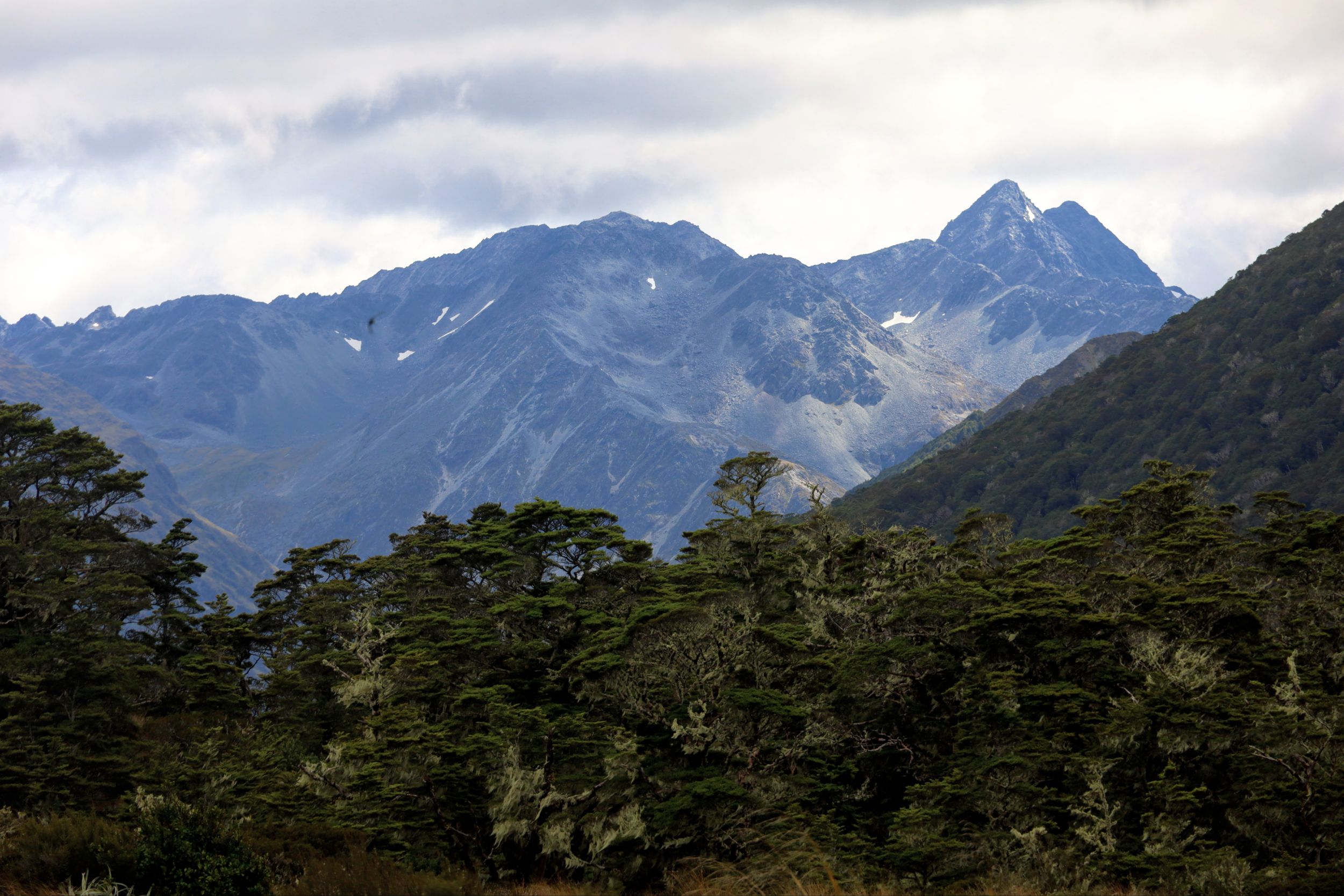 Lewis Pass, NZ to Springs Junction, NZ