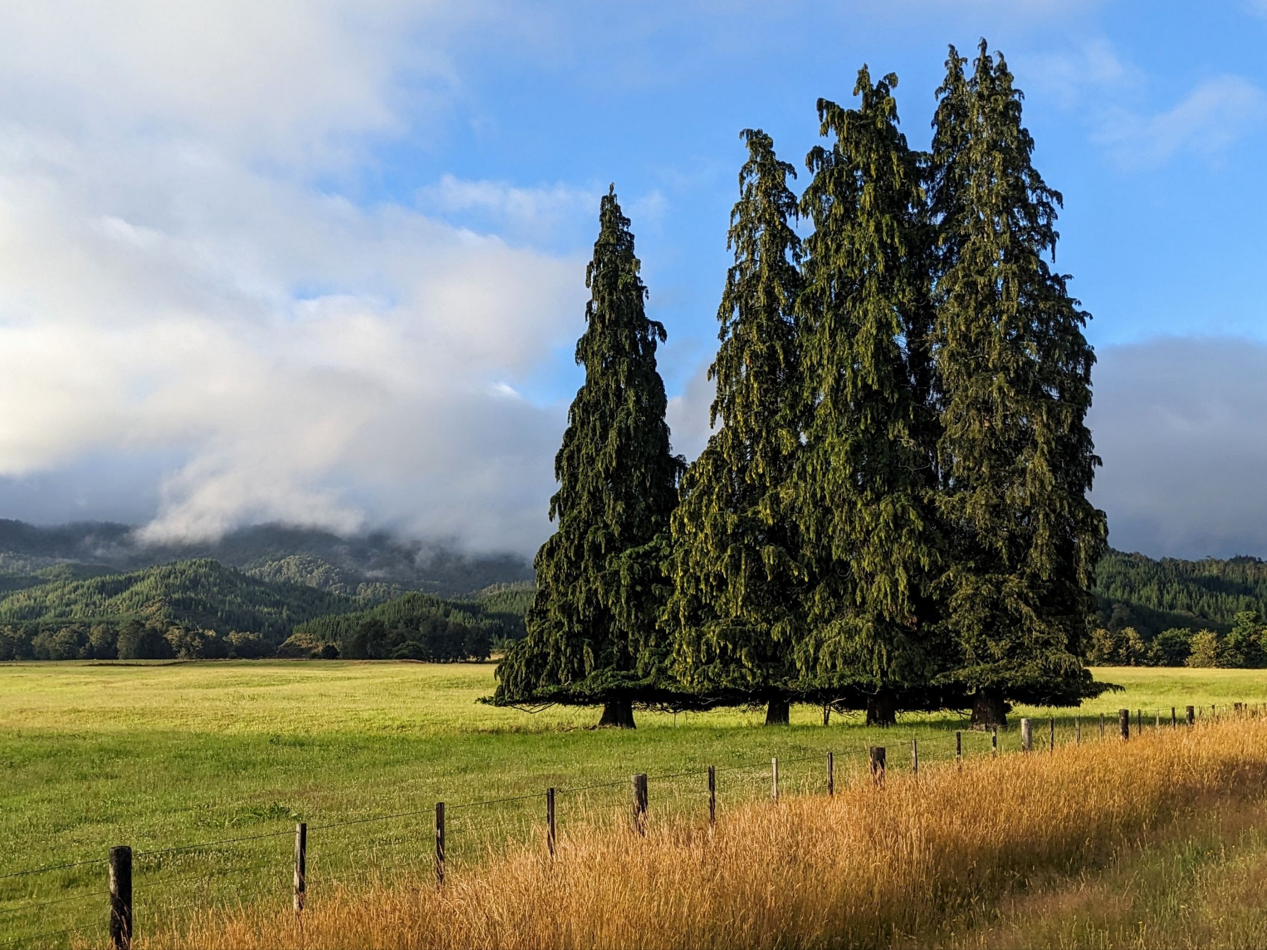 Reefton, NZ to Greymouth, NZ