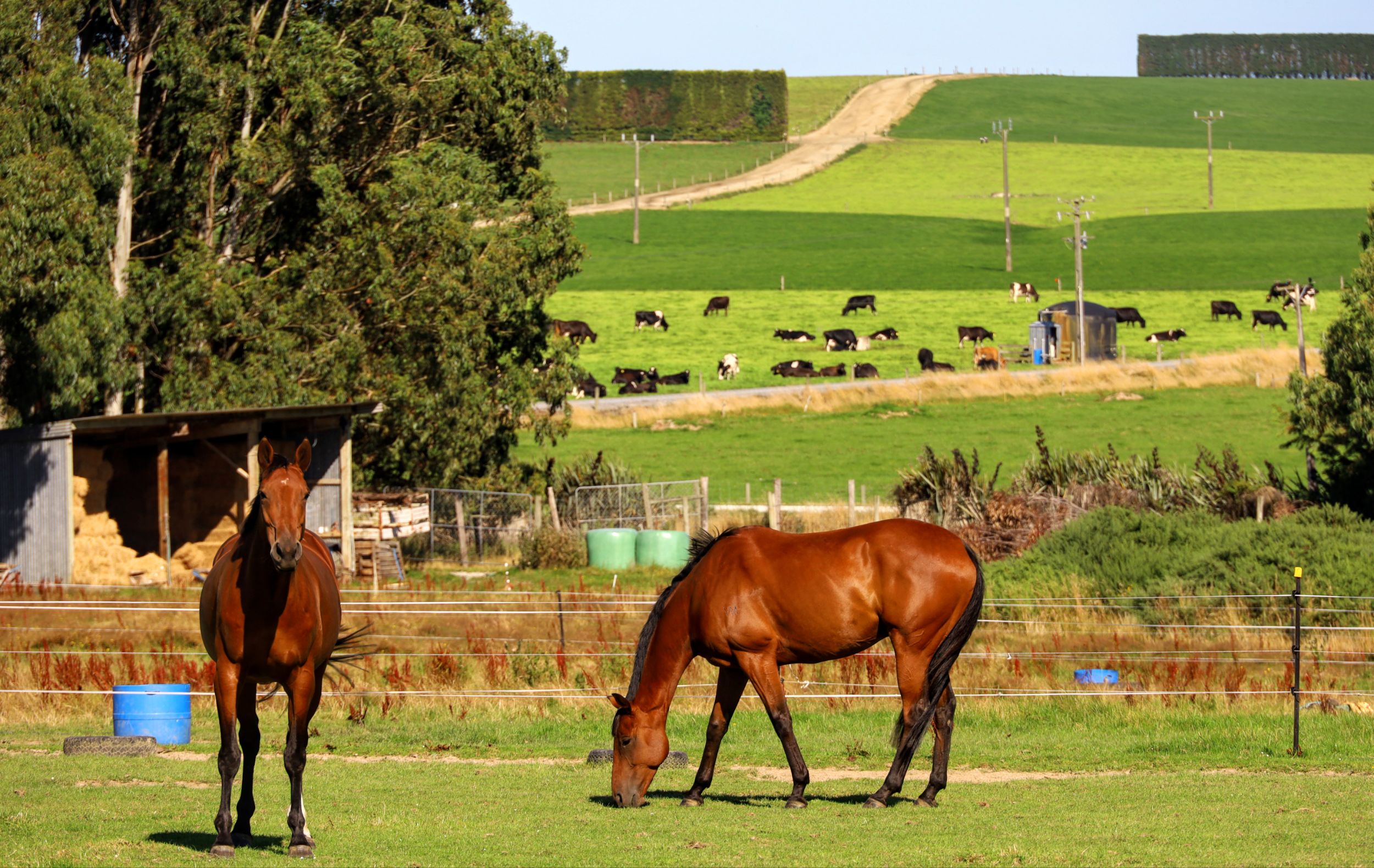 Invercargill, NZ to Tokanui, NZ