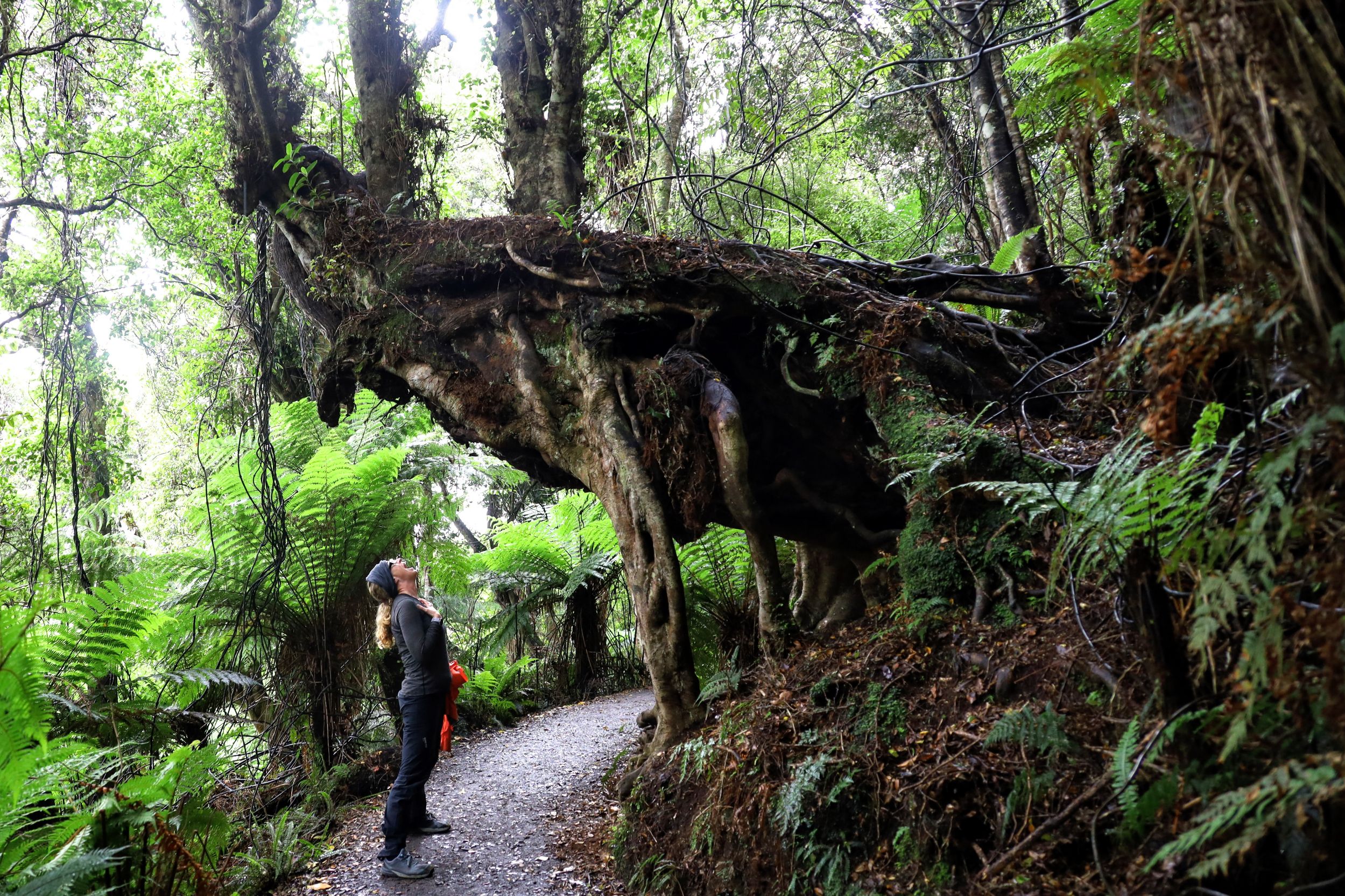 Tokanui, NZ to Papatowai, NZ