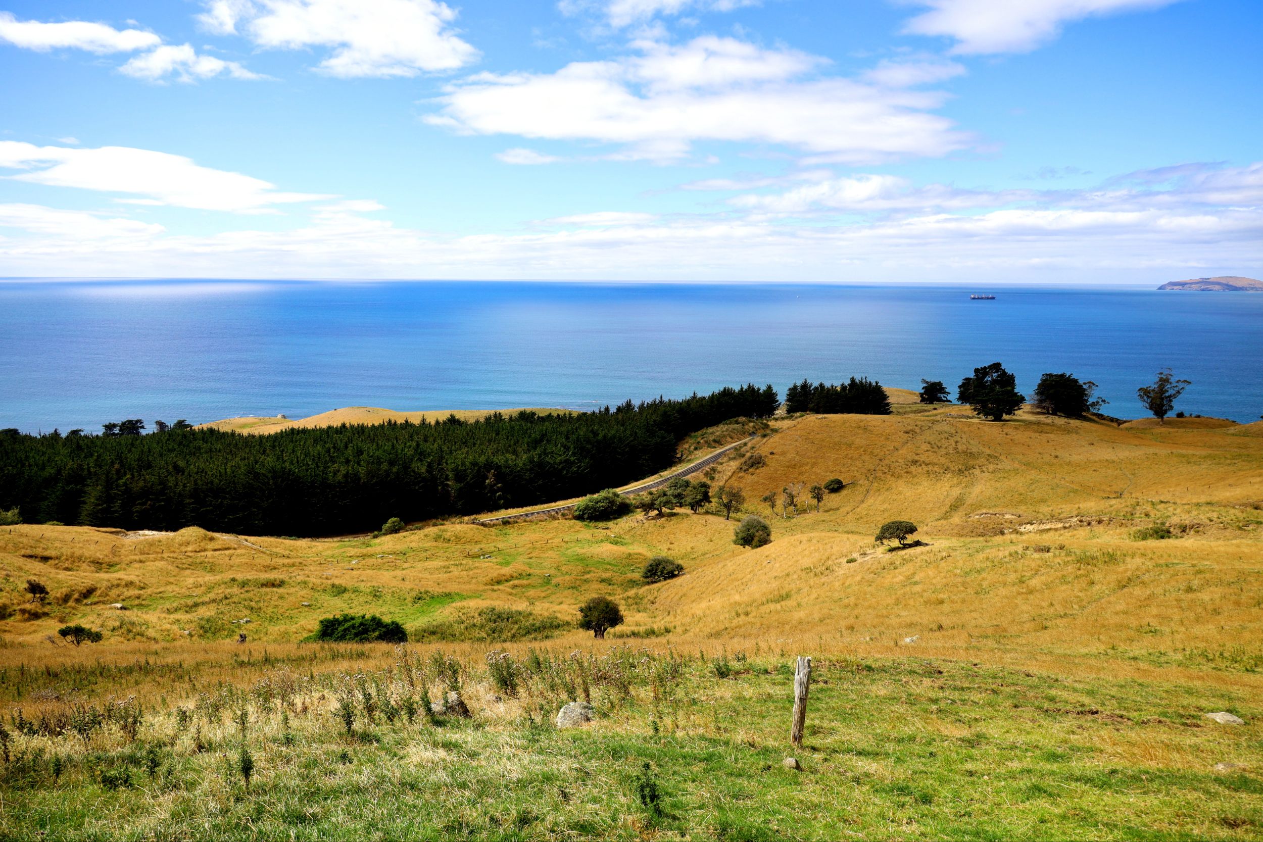 Dunedin, NZ to Hillgrove, NZ