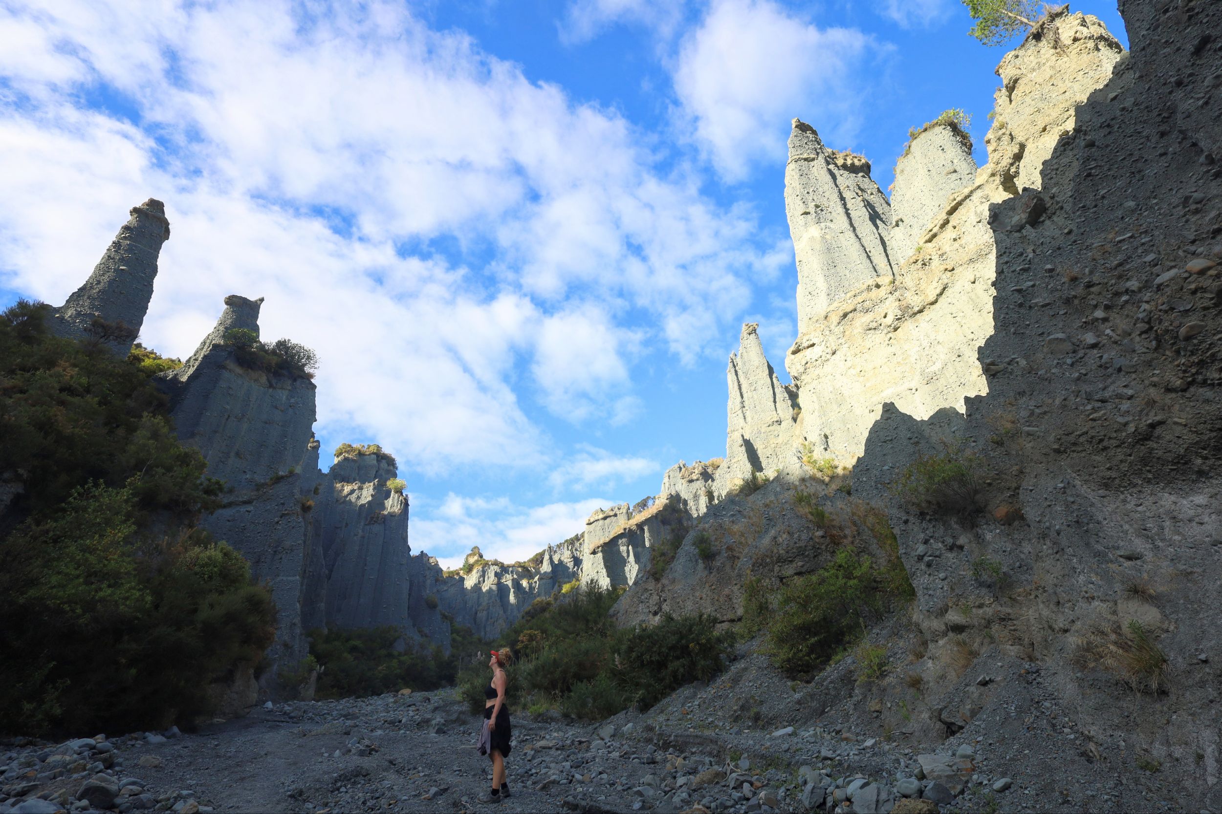 Martinborough, NZ to Cape Palliser, NZ