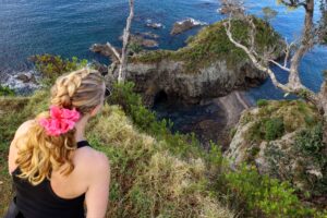 Oakura, NZ to Russell, NZ