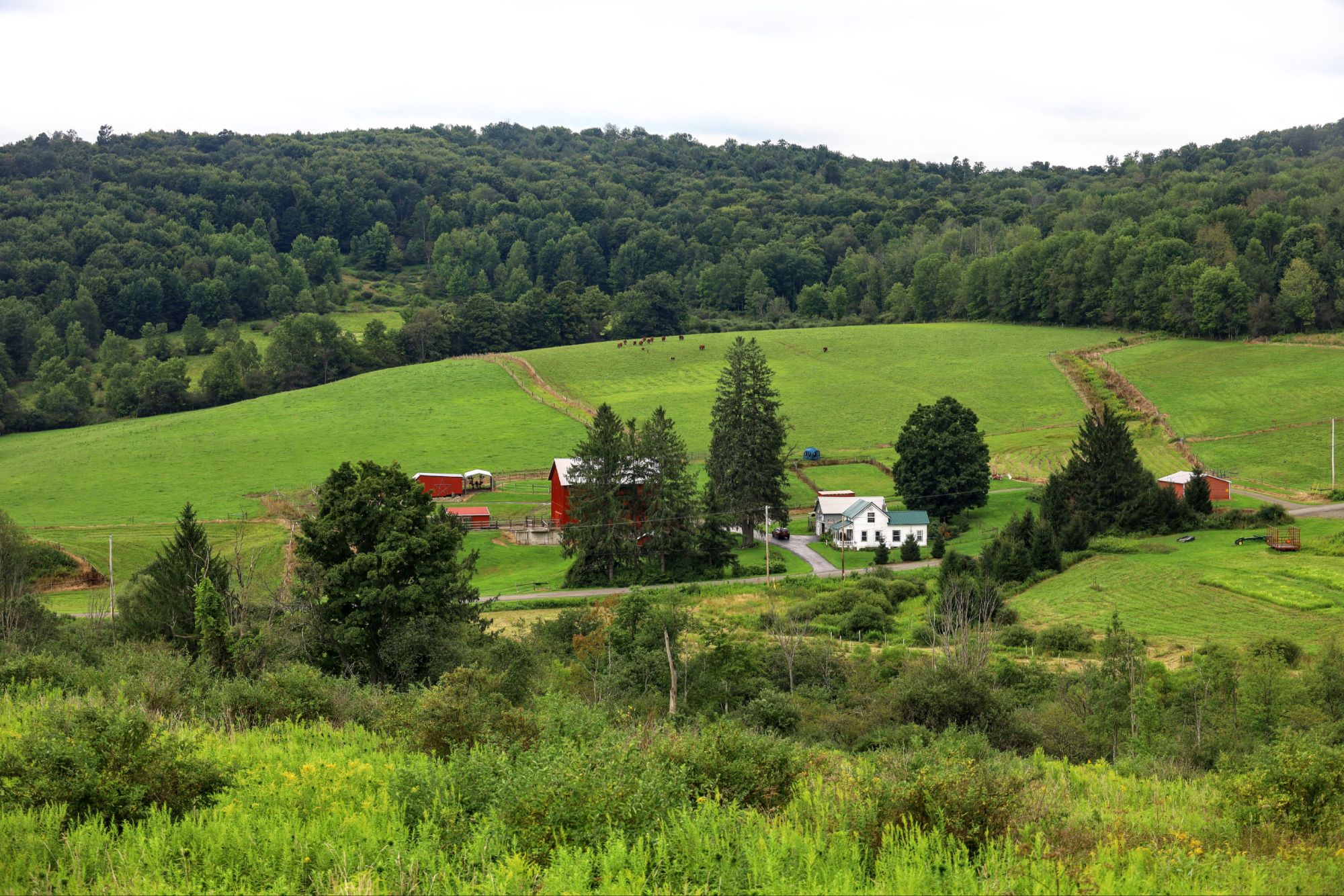 Cortland, NY to Oxford, NY