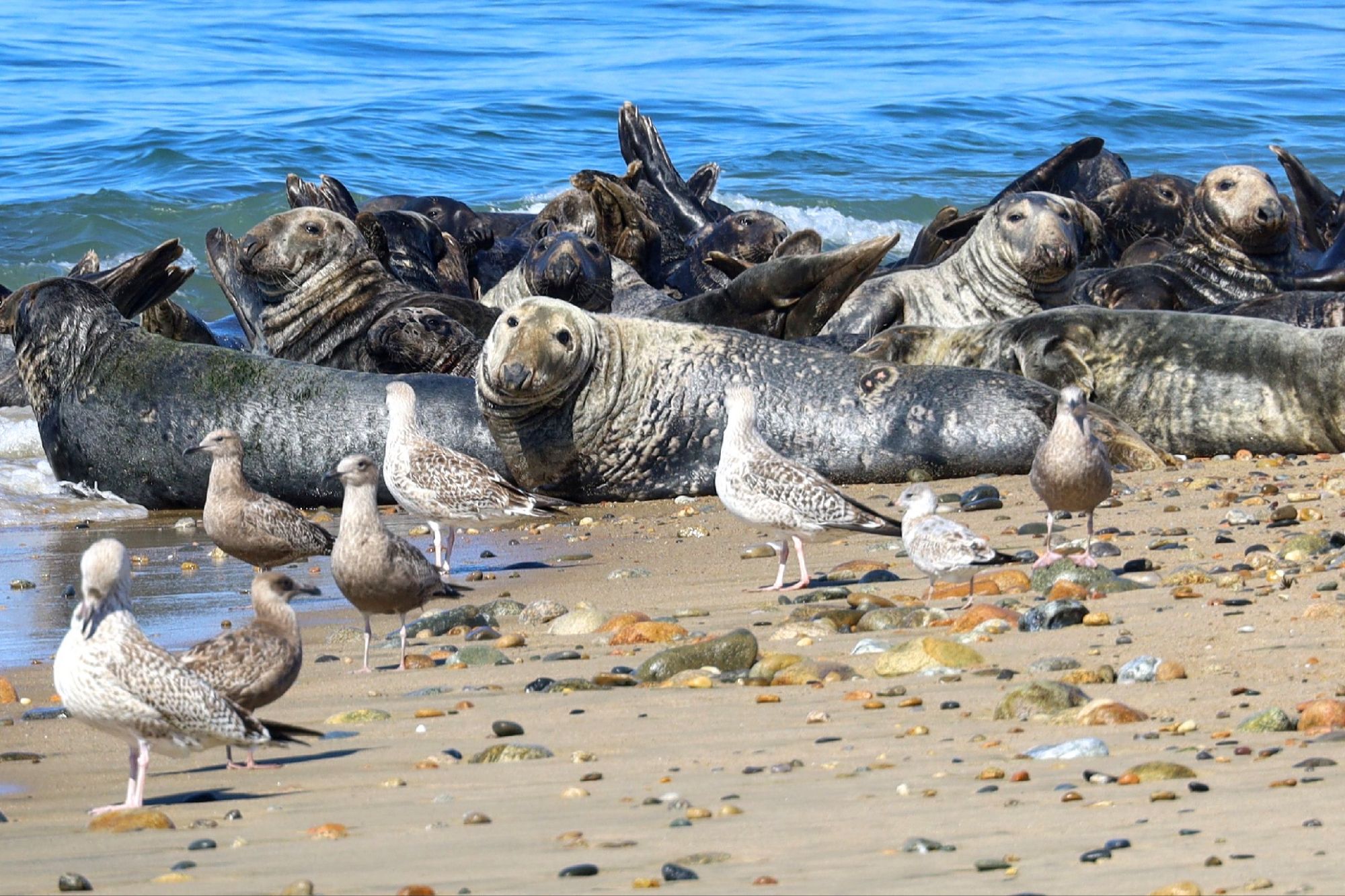 Block Island, RI