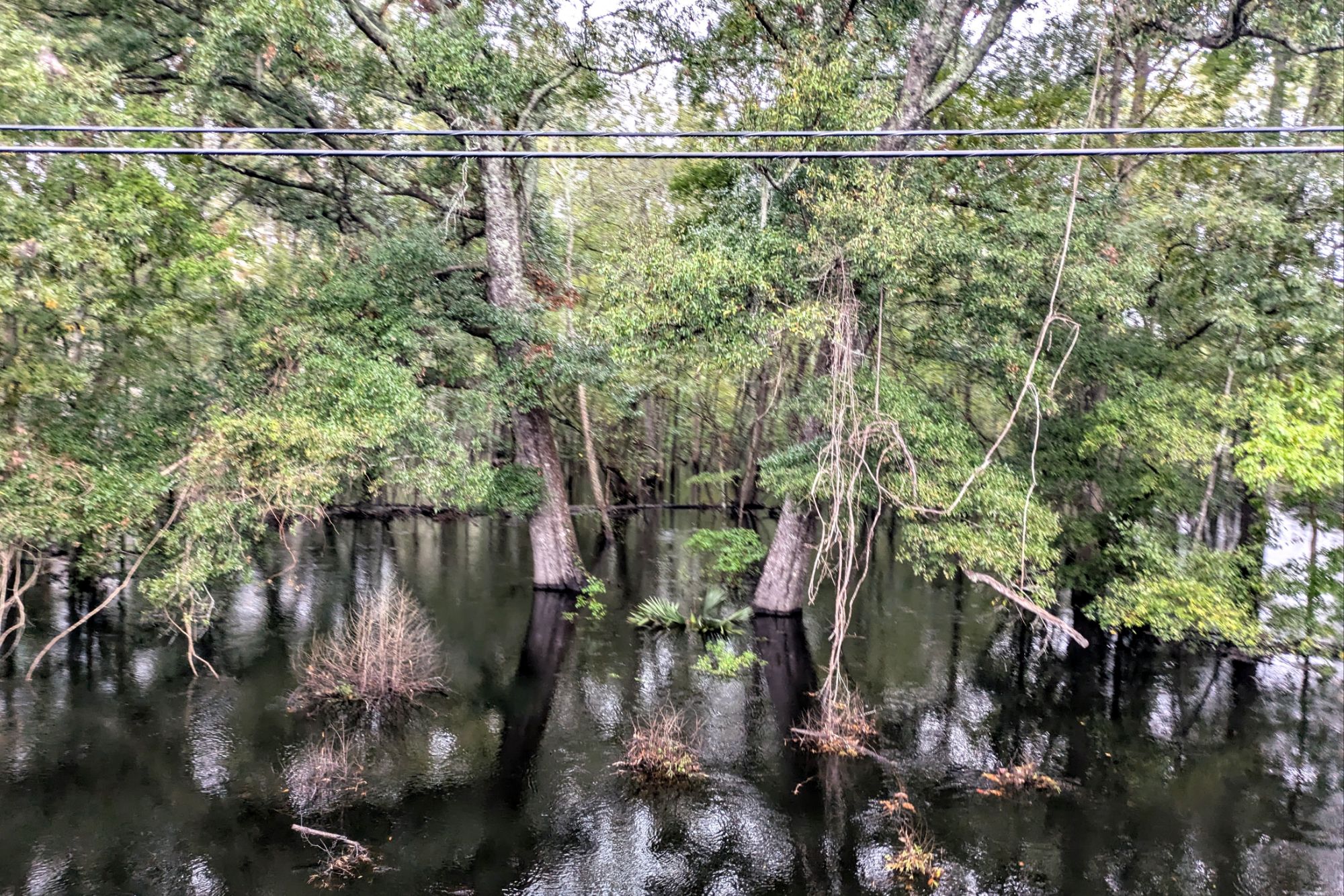 Jacksonboro, SC to Point South, SC