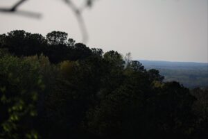 Kosciusko, MS to Ackerman, MS