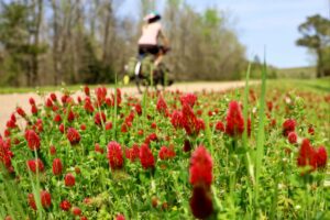 Ackerman, MS to New Houlka, MS