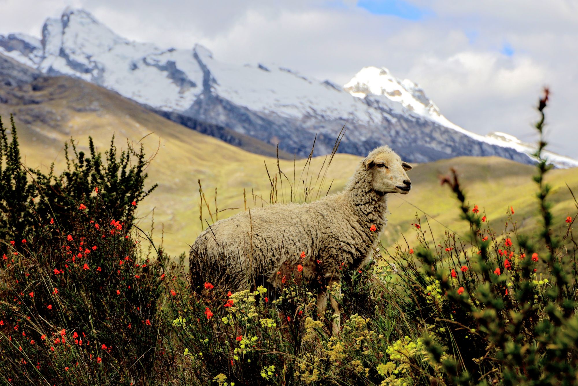 Huaraz, PE