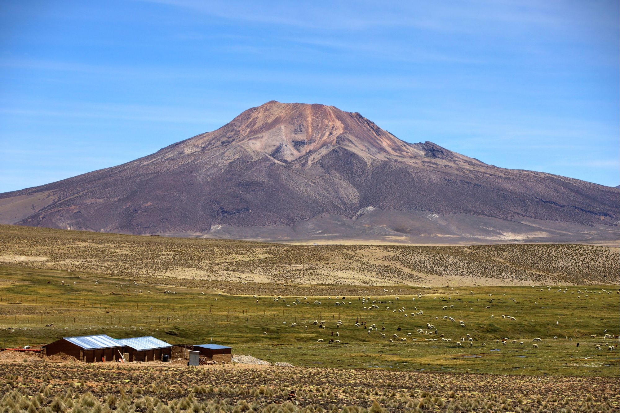 Mazocruz, PE to Challapalca, PE