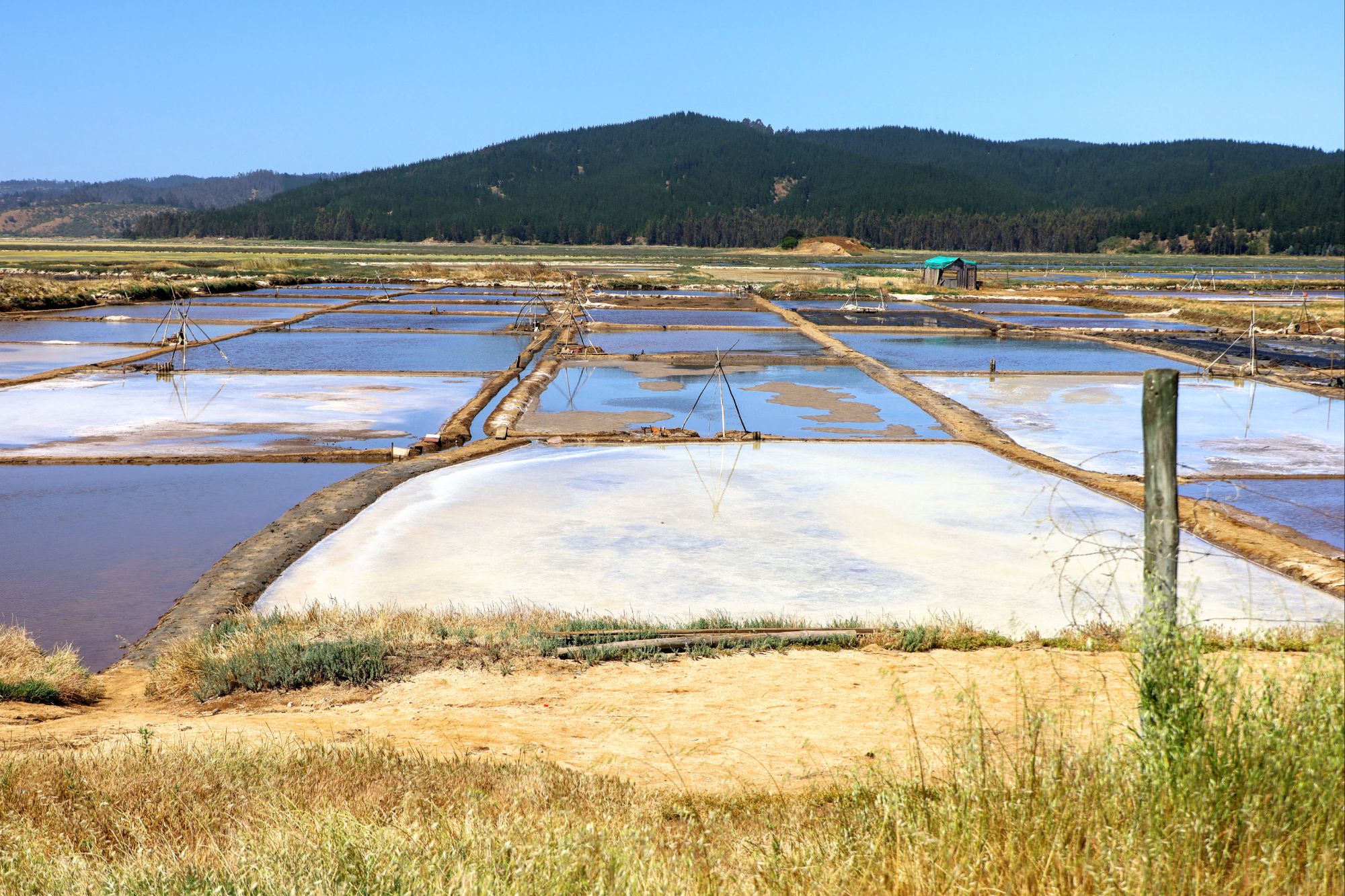 Pichilemu, CL to Llico, CL