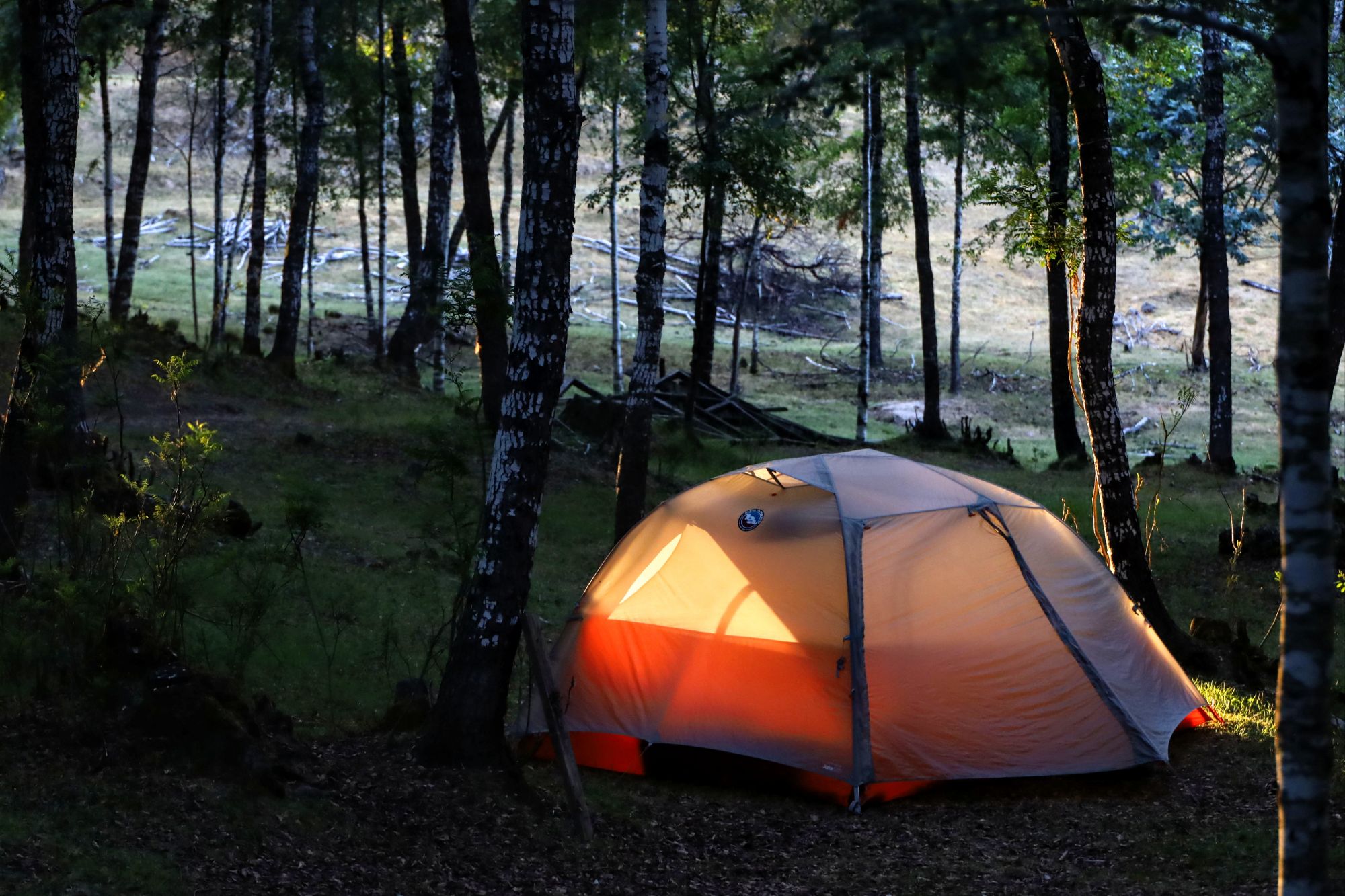 Chacay, CL to Renaico, CL