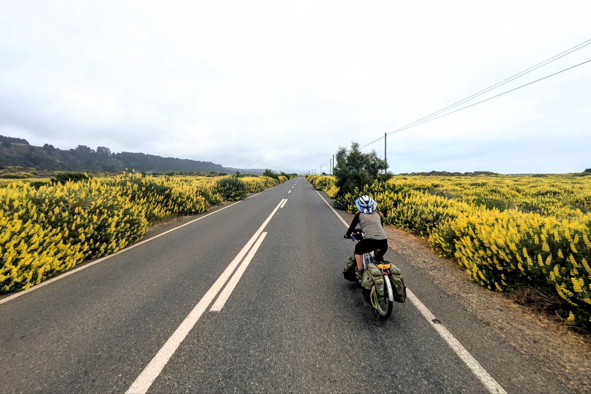 Rancura, CL to Constitución, CL