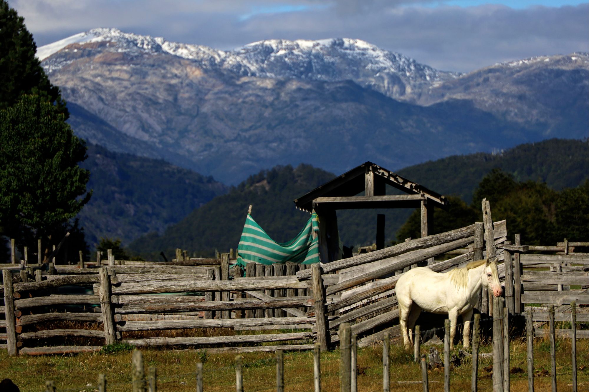 Los Ñadis, CL to Lago Vargas, CL