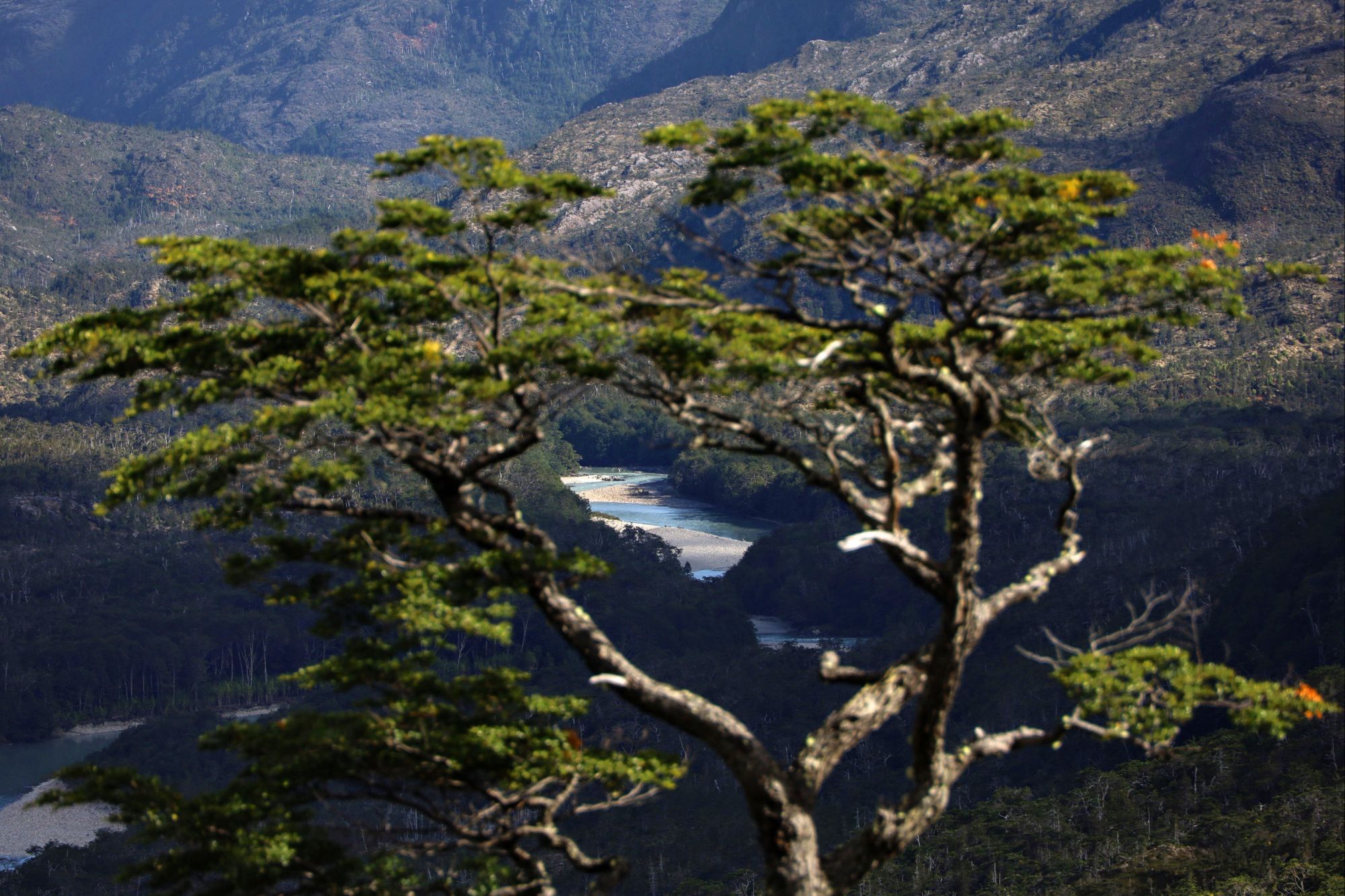 Río Bravo, CL to Río Colorado, CL