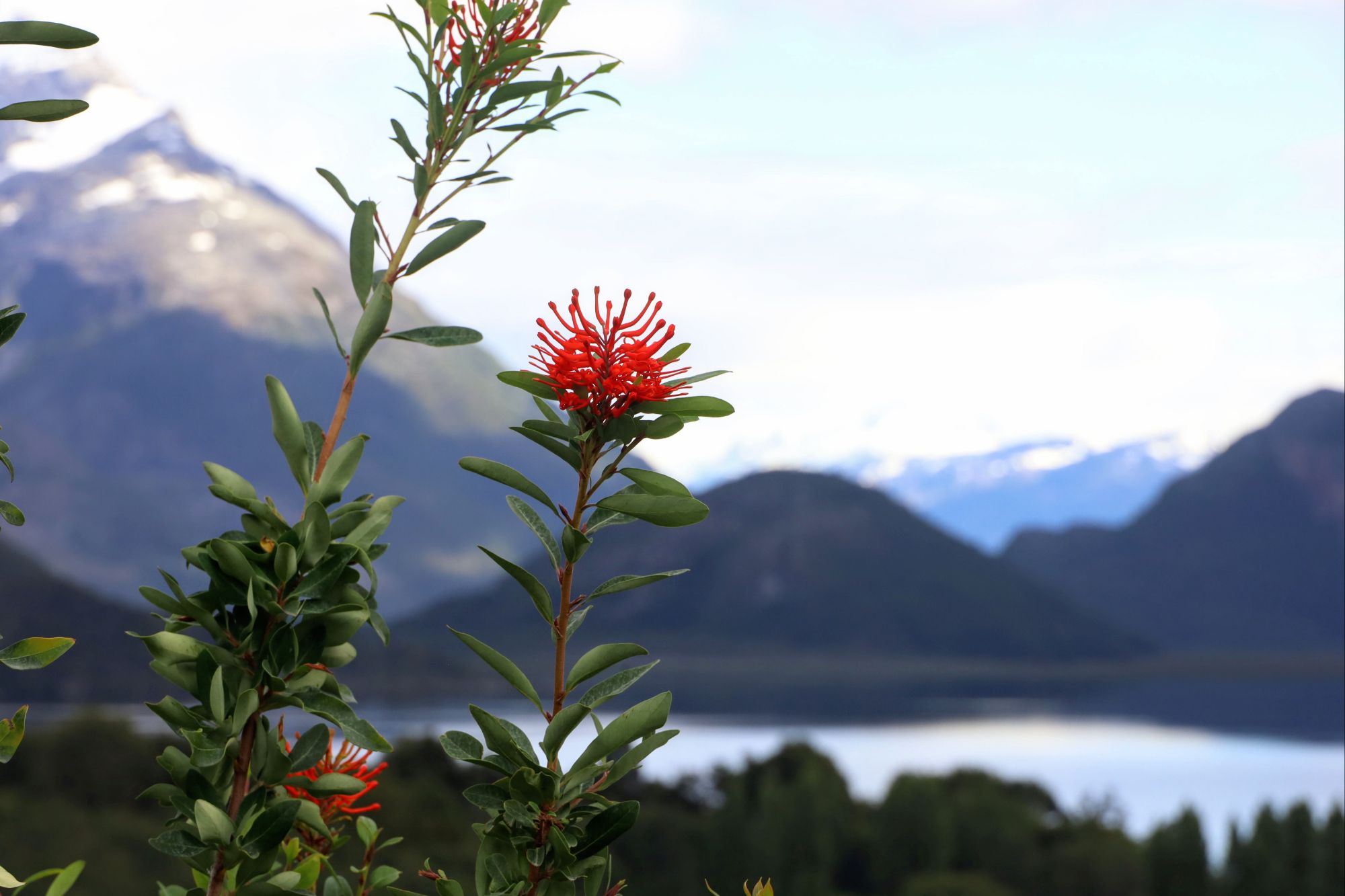 Río Colorado, CL to Villa O’Higgins, CL