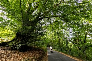 West Monkton, UK to Exeter, UK